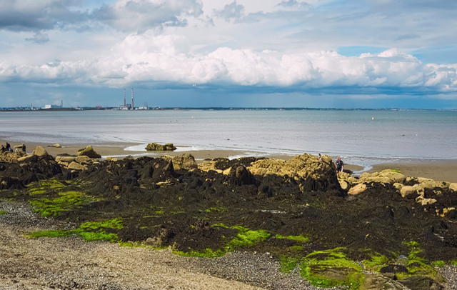 DSCF3764.jpg