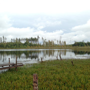 IMG 1628