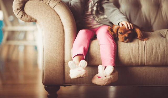 Pets-Insurance-22
