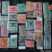 IMG-3004