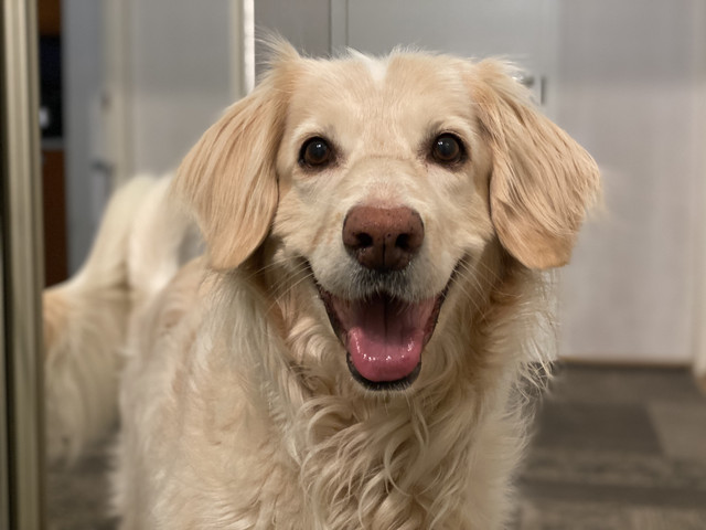 7504-D9-D1-B5-B6-42-D2-8257-C4-AFE2-CC5-