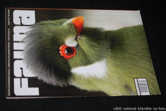 IMG-7716