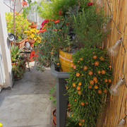 IMG-7814