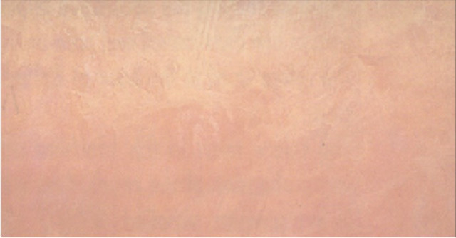 R055-RMP513
