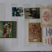 IMG-6816