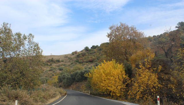 IMG-6202