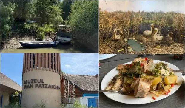 Descoperă Tulcea: Delta Dunării, gastronomie locală și experiențe autentice