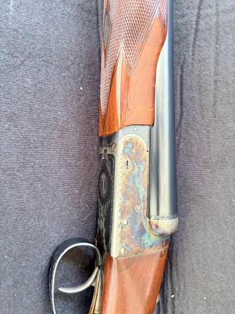 [Linked Image from i.ibb.co]