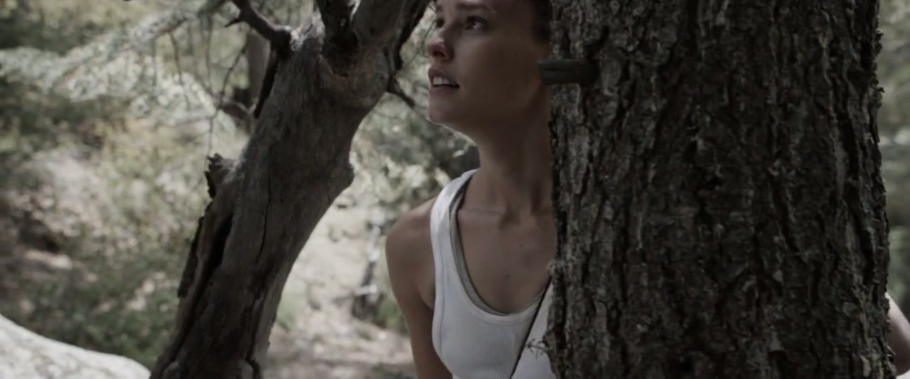 The Archer Screenshot