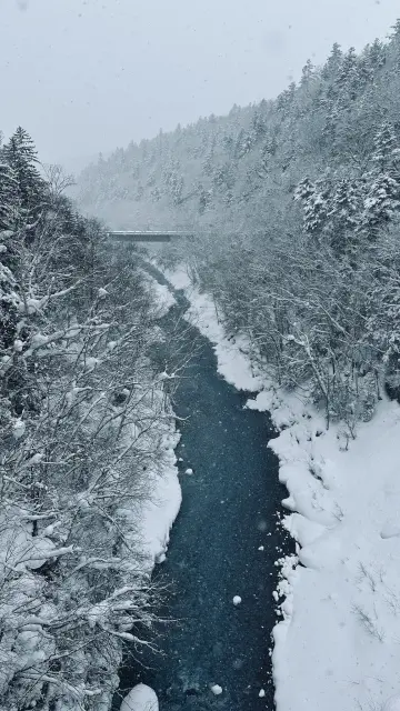 gallery Shirahige Falls 03.webp
