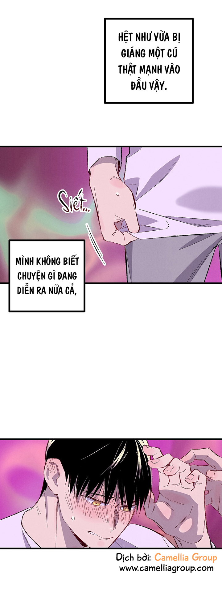 06 2
