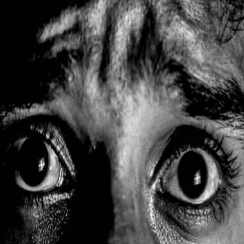 IMG-6650.png