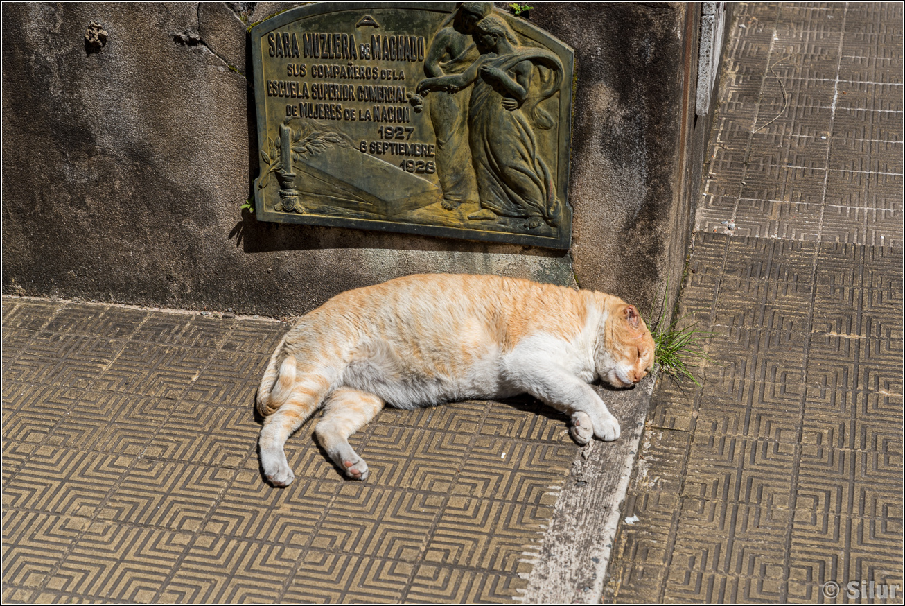 Буэнос-Айрес, Ушуая, Эль-Калафате, Перито-Морено, Эль-Чалтен, Игуасу (весна 2025) Буэнос-Айрес, Ушуая, Эль-Калафате, Перито-Морено, Эль-Чалтен, Игуасу (весна 2025)