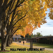 hitchyhigh