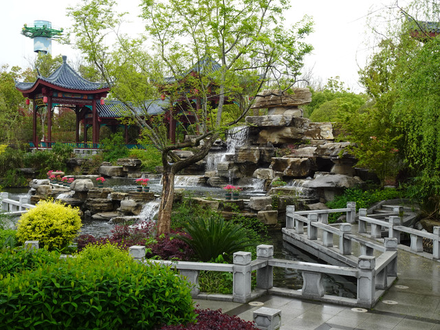 DSC08723.jpg