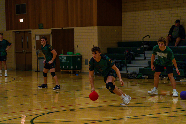 DSC04870.jpg