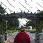 IMG 2649