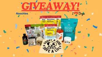 Win a Year's Supply of Healthy Dog Treats
