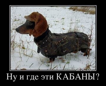 https://i.ibb.co/TxM2jmHj/4h-Ff-W.jpg