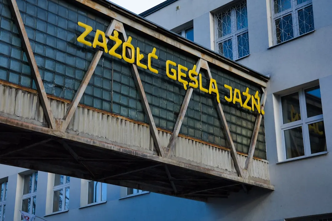 Izolarea plăcii de garaj: Dilema proprietarului și soluțiile experților