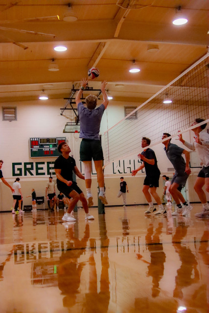 MG-0830