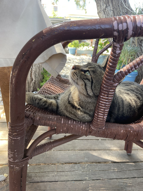 sipariş ne zaman gelecek