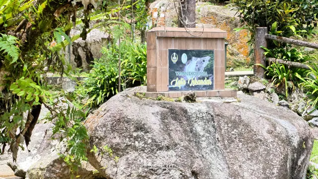 Lata Waterfall16.webp
