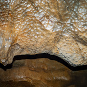 L1013417