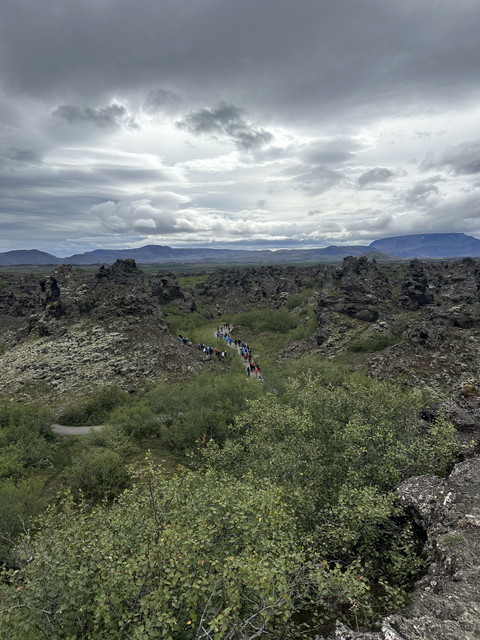 IMG-6711
