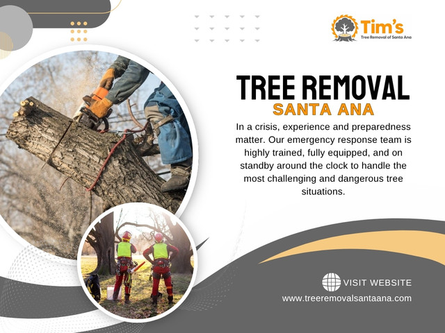 In many cases around residential and commercial areas, these small changes eventually turn into situations that require Hazardous Tree Removal Santa Ana services when things finally reach a tipping point.

Tim’s Tree Removal of Santa Ana

Address: 3620 S Bristol St, Suite 331, Santa Ana, CA 92704 USA
Phone: +16575533248
Working Hours: 24/7
Find Us On Google Maps: https://maps.app.goo.gl/2wGm7YN58npPA4ea6

Read Our Blogs:
https://treeremovalsantaana.weebly.com/
https://treeremovalsantaana.mystrikingly.com/
https://treeremovalsantaana.webflow.io/

More Links:
https://c8ke.me/treeremovalsantaana
https://www.goodreads.com/treeremovalsantaana
https://www.viki.com/collections/4278807l