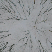 winter5.gif