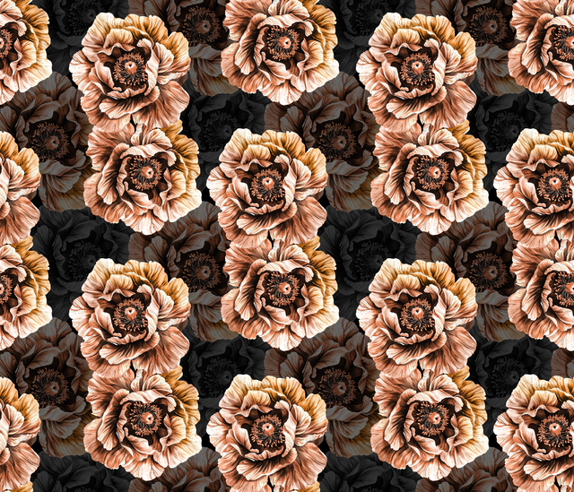 Untitled 2.png