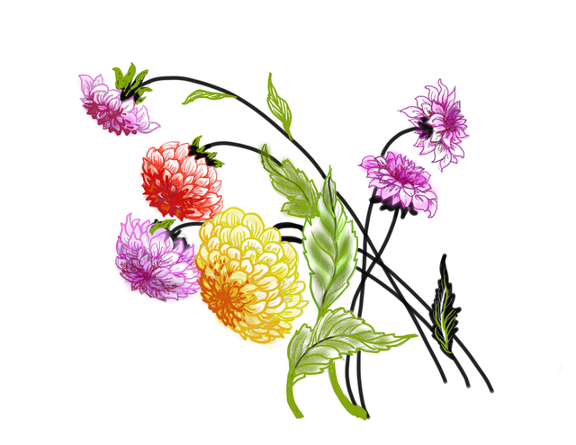 shutterstock-1369746527