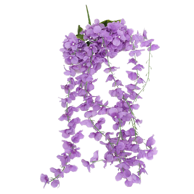 pngegg (41).png