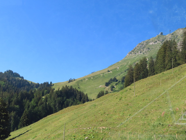 IMG 1698.jpg