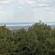 IMG 1251