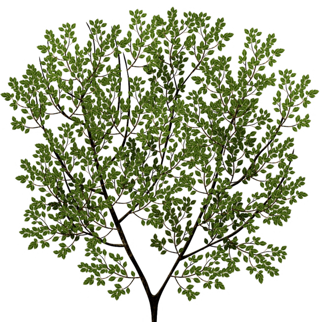 Q8edc SX.png