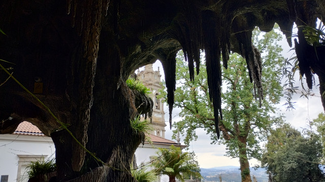 Bom Jesus do Monte (11).jpg