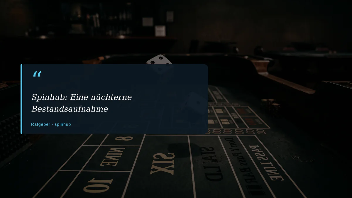 Spinhub: Eine nüchterne Bestandsaufnahme