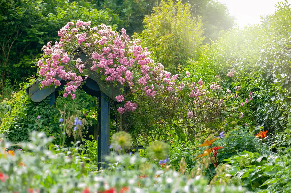 Eleganța Grădinii Englezești Găsește Acasă în Country Living Garden Club
