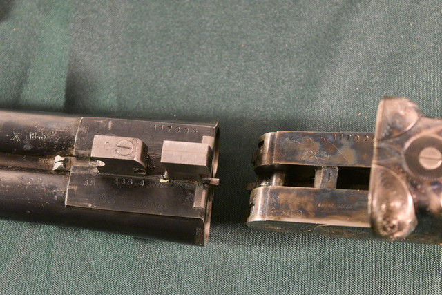 [Linked Image from i.ibb.co]
