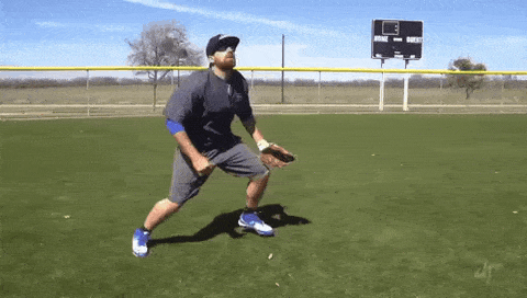 pca-catches.gif