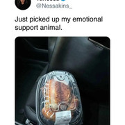 1000064037