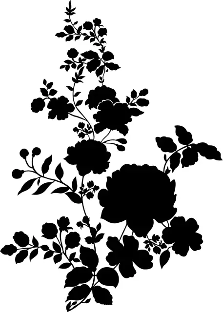 adf20947fec38e8415e2e3ea50d20616.webp
