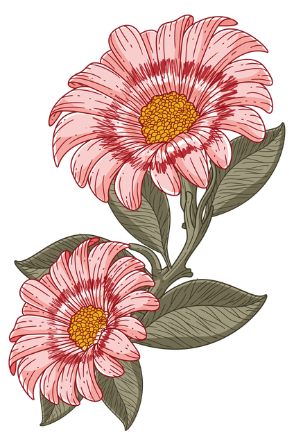 b34d407c8092ece265bd62d761a4b1ce.png