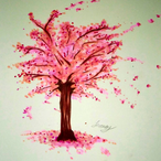 cherryb