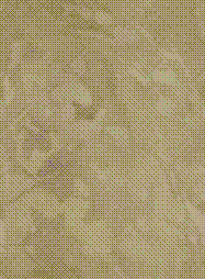 bgsoftleaves