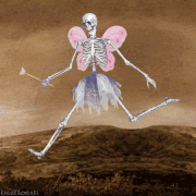 11.gif