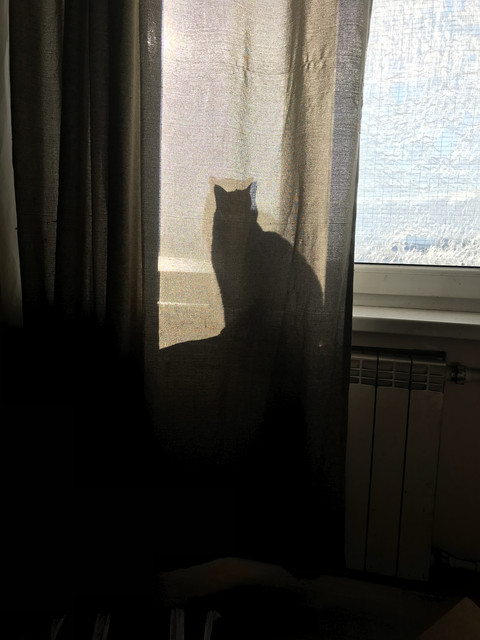 IMG-8656