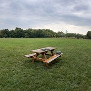 IMG-1542